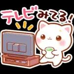 毎日♡猫ちゃんず【連絡・今何してる？】