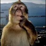 Te amo @Giseelove_Stickers