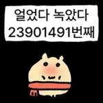 쟈근 햄스타의 겨울나기