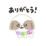 ぴかぴかわんわん