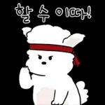 또리는 소심하지만 참지않지
