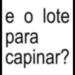 Eva Moraes💖🎀