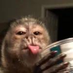 Estou com fome