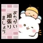 チロクマとアイビー　初夏