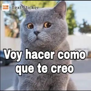 Voy a hacer como que te creo - getsticker.com