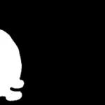 찌글찌글 미니 눈멍냥이