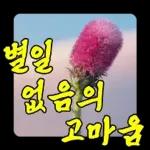 꽃천지 예쁜말