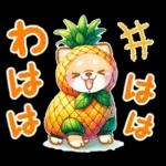 大人の夏❤️いやしばいぬ❤️柴犬