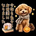 午年2026年！プードルとうまの年末年始