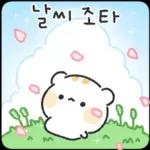 아기람꾸 : 벚꽃 에디션