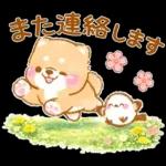 シマエナガといやしばいぬ❤️春/柴犬敬語