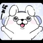 うさぎ&くま１００％ 冬の日常