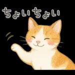 猫がいっぱい♡ふんわり可愛い秋＆冬