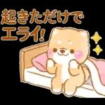 会社を辞めたい❤️いやしばいぬ❤️柴犬敬語