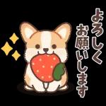 Pop-Up! Corgi's Spring Reply Sticker