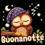 BUONANOTTE