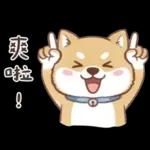 柴犬可愛諧音梗