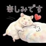 ゴールデンハムスター♡キンクマ