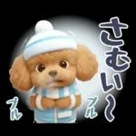 【秋冬】ずっと使える❤️日常会話 トイプー