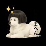 もふもふ【愛されサモエド】