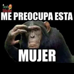 ME PREOCUPA ESTA MUJER - getsticker.com