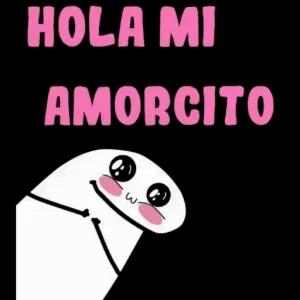 HOLA MI AMORCITO - getsticker.com