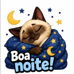 Boa noite! - getsticker.com