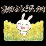 やさしい春の毎日♡ふんわかウサギ