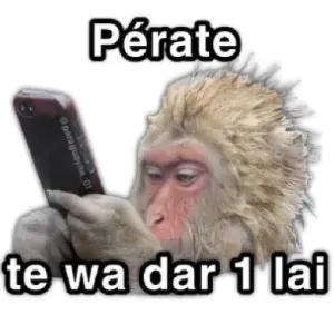 Pérate te wa dar 1 lai - getsticker.com