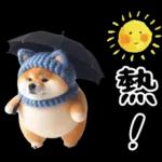 圓柴柴18:祝你有個可愛的一天❤️