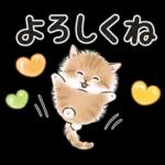 ゆるかわ☆ちび猫たちのスタンプ