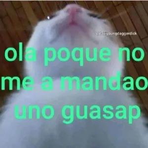 ola poque no me a mandao uno guasap - getsticker.com