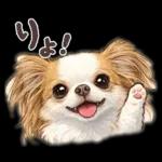 ブラン&プティ第2弾♡