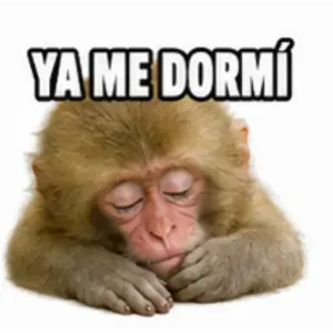 YA ME DORMÍ - getsticker.com
