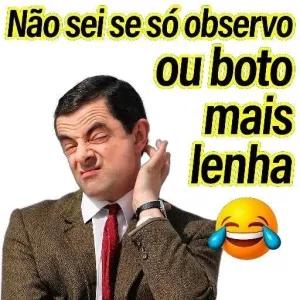 Não sei se só observo ou boto mais lenha - getsticker.com