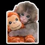 Espero que te sientas mejor mi reina