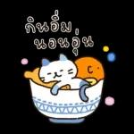 บิสเก็ต & เพื่อนๆ