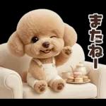 一年中使えることば集☆トイプードル