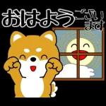 飛び出す！豆柴「野球と日常」