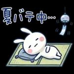 毎日使える夏☆ほぼ白うさぎ