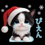 可愛いハチワレ猫 サンタ帽 冬 気づかい