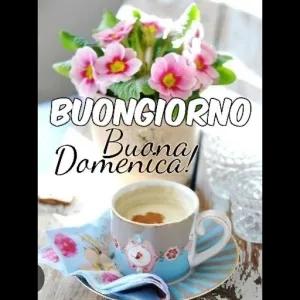 BUONGIORNO Buona Domenica! - getsticker.com