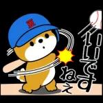 飛び出す！豆柴「野球と日常」