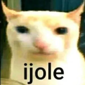ijole - getsticker.com