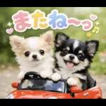 スタンプパック作成その5？