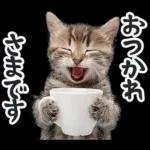 リアルな子猫ミーム（秋ハロウィン）