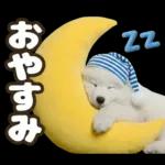 ゆっくり休んでね