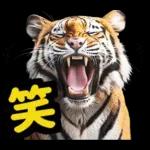 大阪神戸の野球好き虎ファン向け5とらほー