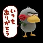 目ヂカラ強め☆ずんぐりなハシビロコウ②