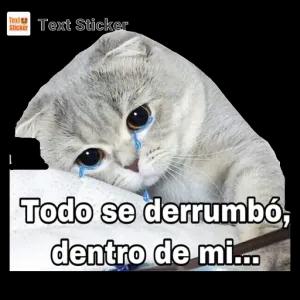 Todo se derrumbó, dentro de mi... - getsticker.com